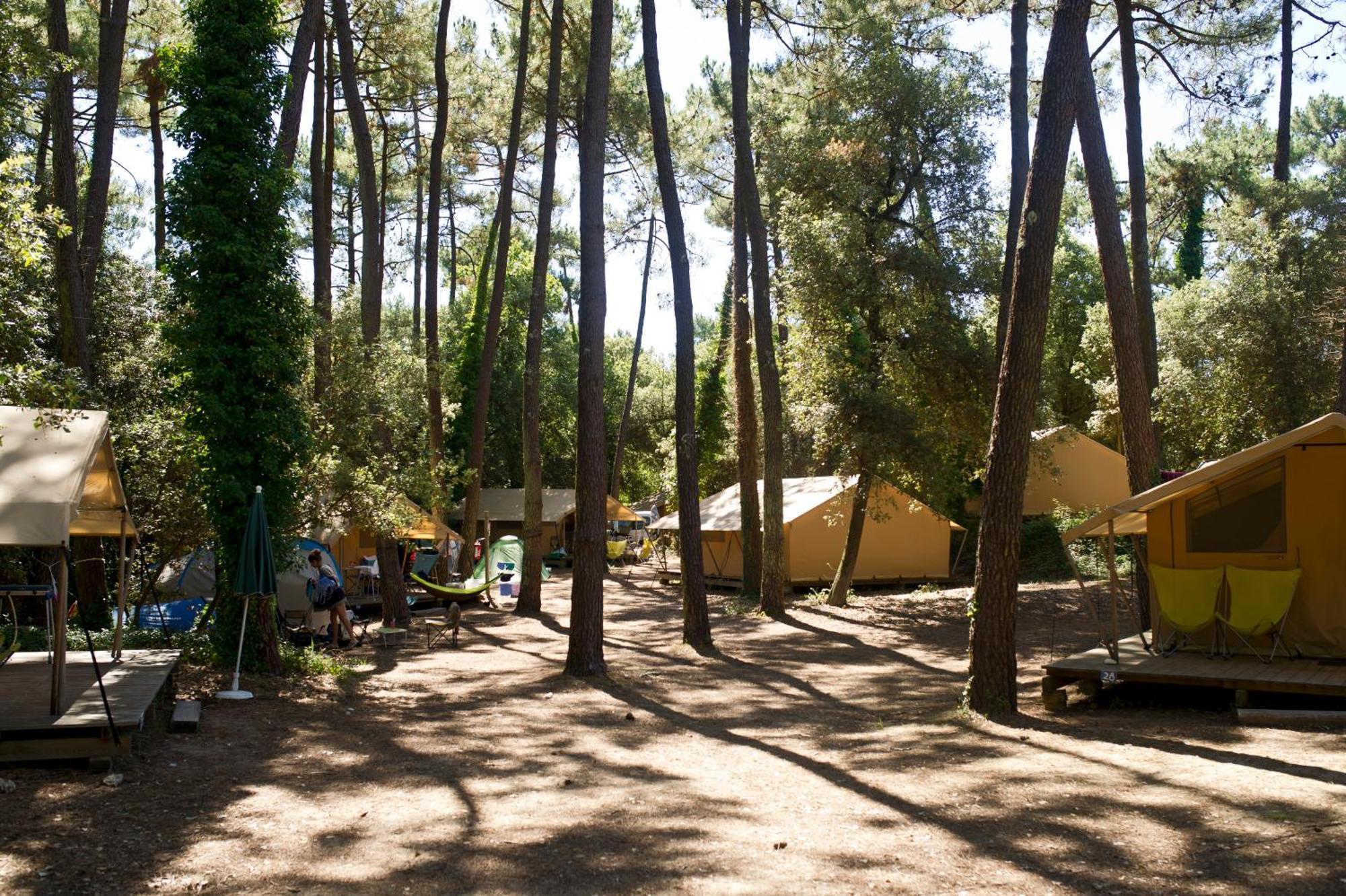 Huttopia Oléron Les Chênes Verts Dolus-d'Oléron Chambre photo