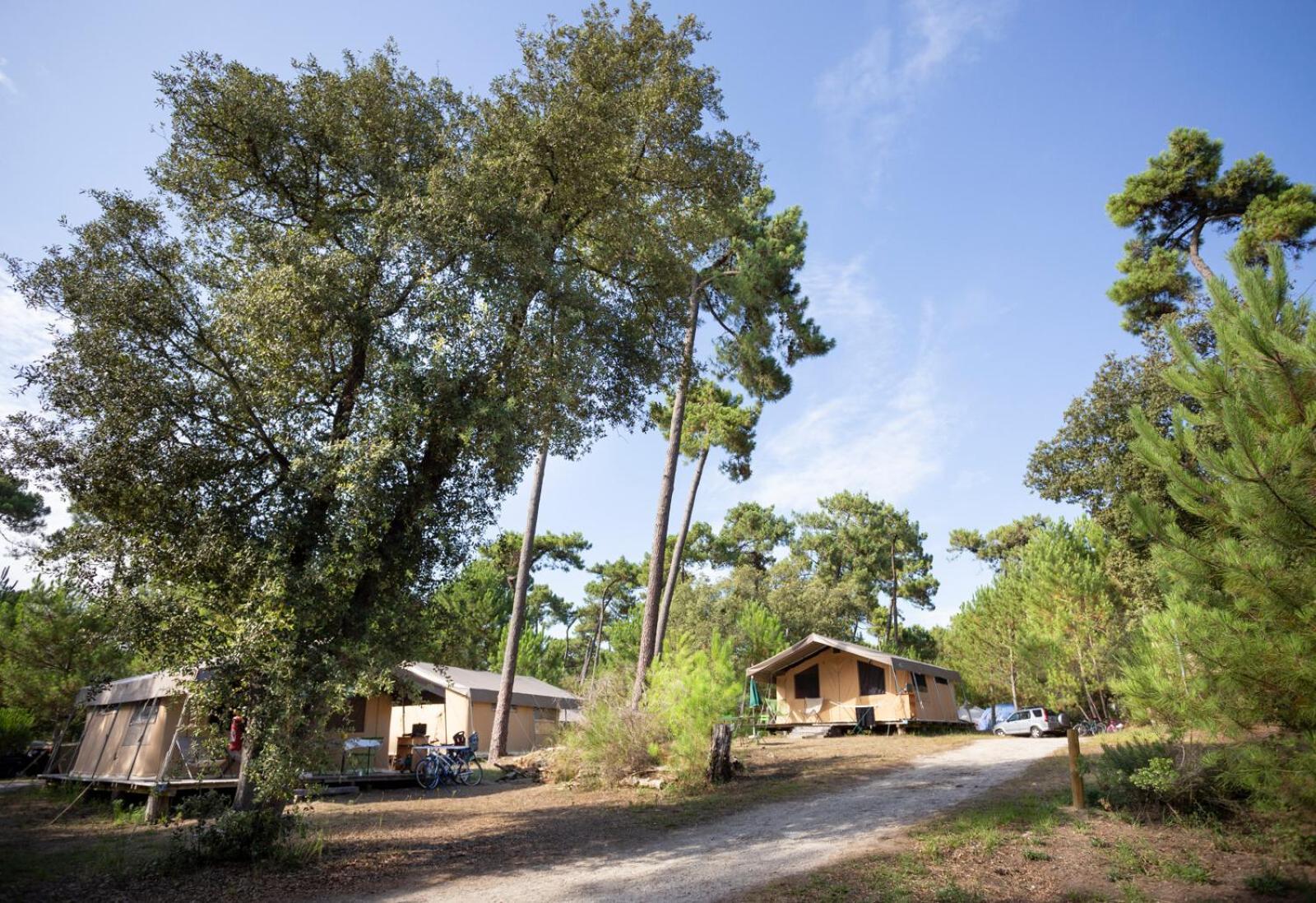 Huttopia Oléron Les Chênes Verts Dolus-d'Oléron Extérieur photo